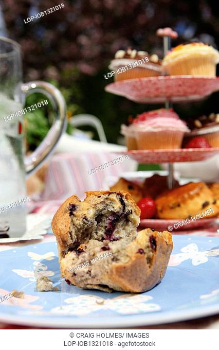England, West Midlands, Edgbaston, A picnic table laid out with cakes and muffins in the Botanical Gardens in Edgbaston, Birmingham