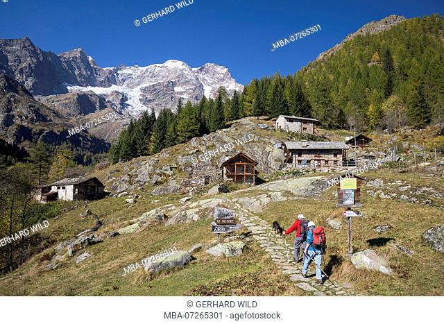 Hikers at the visitor center on the Alpe Fum Bitz, Alta Valsesia Nature Park, behind the Monte Rosa massif, valley village: Alagna Valsesia