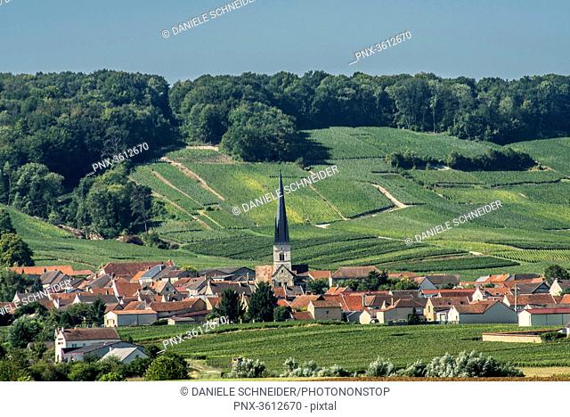 France, Grand Est, Marne, Chamery at the feet of the vineyards, Coteaux de Champagne