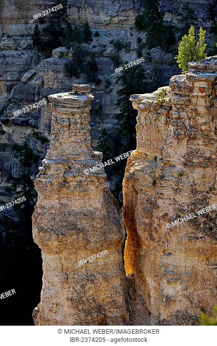 Cliffs, Rim Trail, Grand Canyon National Park, South Rim, Arizona, USA