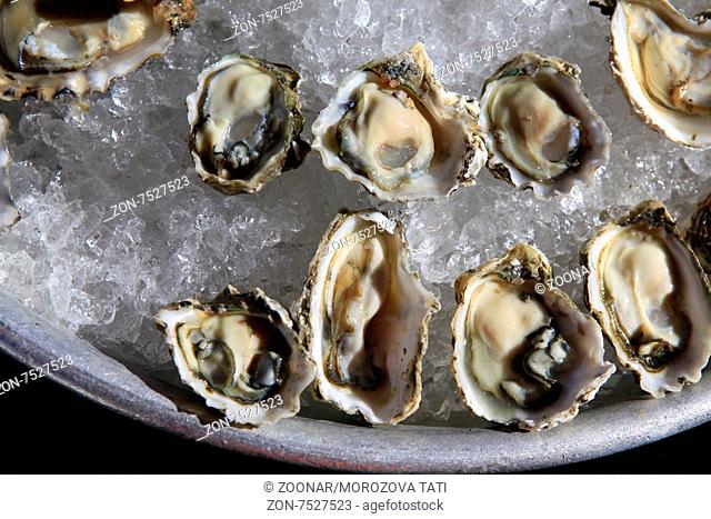 Opened oysters on ice with red souse