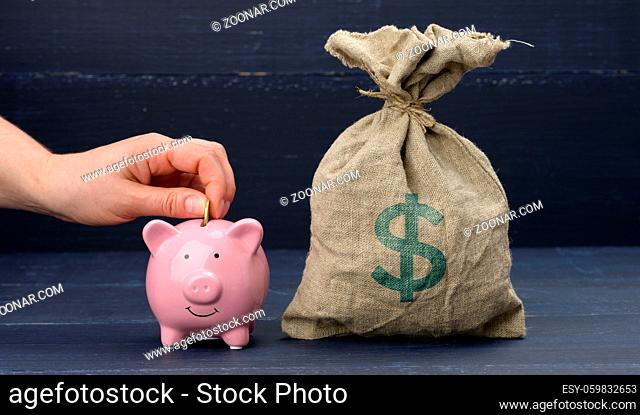 a full sack with an American dollar sign and a pink ceramic piggy bank, a hand tosses a coin. The concept of saving and accumulating, receiving subsidies