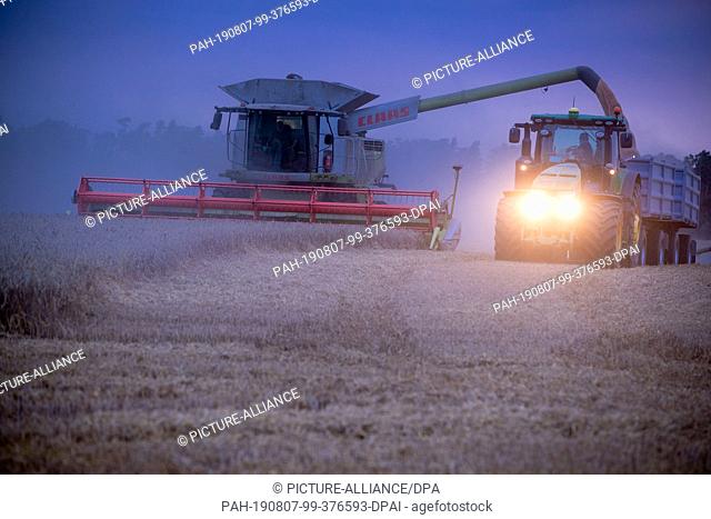 06 August 2019, Mecklenburg-Western Pomerania, Lützow: With combine harvesters, the farmers of the market fruit Lützow harvest a wheat field late in the evening
