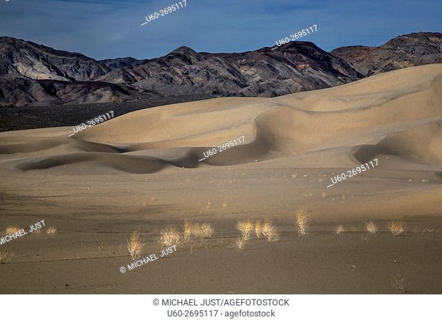 Patterns and ripples produced by erosion are the dominant features of Eureka Dunes at Death Valley National Park, California