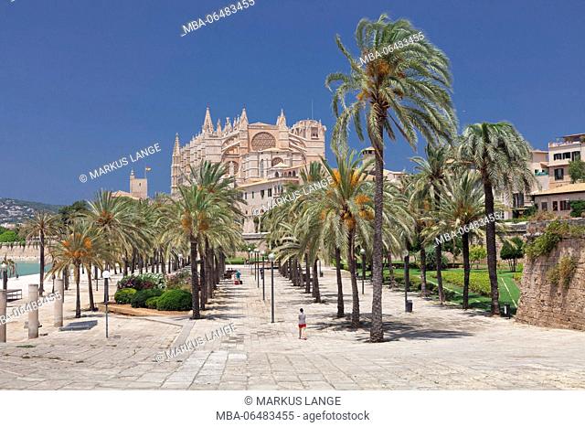 Cathedral La Seu and king's palace Palau d'Almudaina in the sea park Parc de la Mar, Palma de Majorca, Majorca, the Balearic Islands, Spain