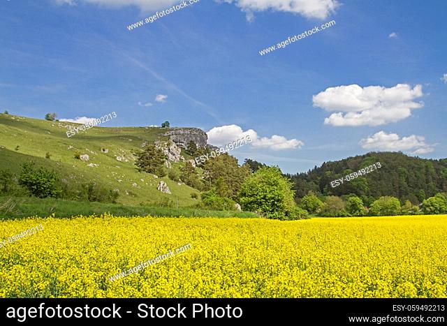 Idyllisches Landschaftsbild im Tal der Schwarzen Laaber bei Schönhofen