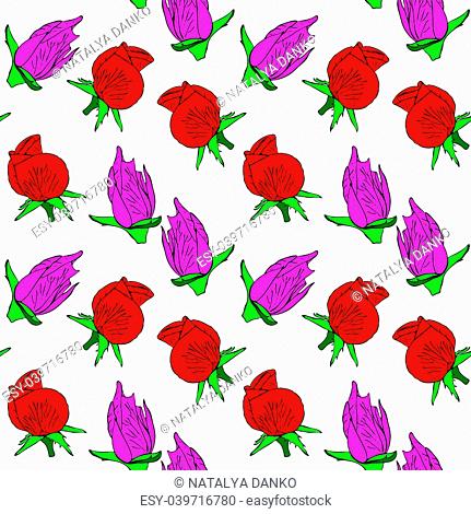 buds of a red and pink rose, a repeating seamless pattern on a white background