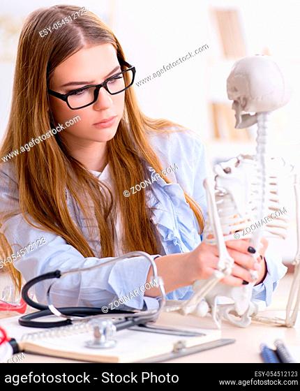 The student sitting in classroom and studying skeleton