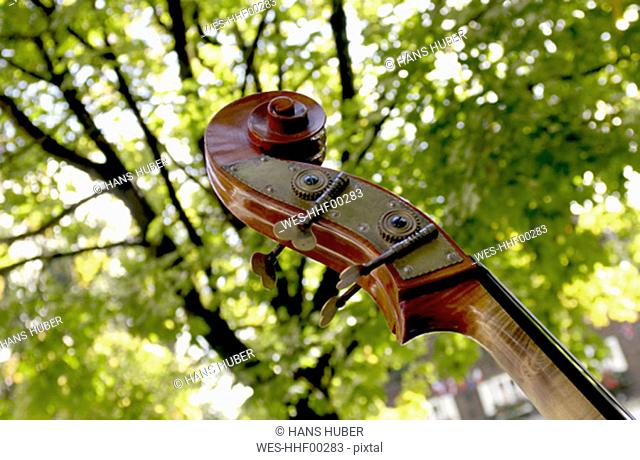 Double bass, close-up, low angle view, outdoors