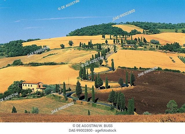 Landscape between Monticchiello and Chianciano, Tuscany, Italy