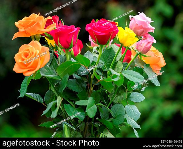 A vase of colourful Roses out in the garden