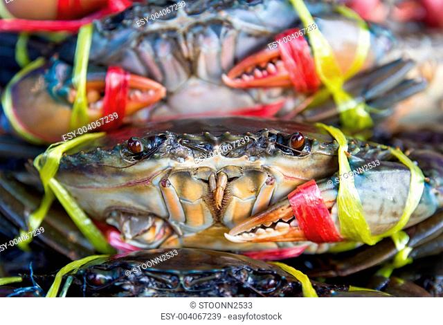 Fresh crabs on sale