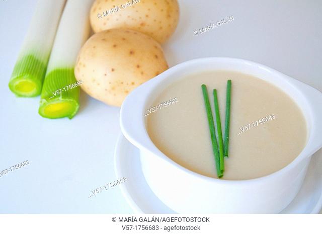 Vichyssoise with ingredients. Still life