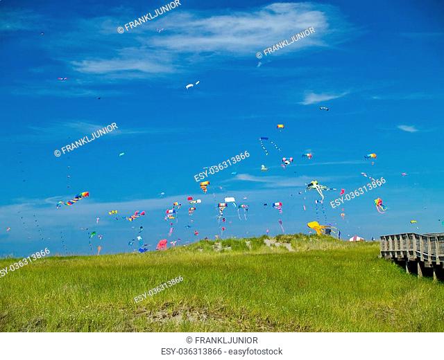 Various Colorful Kites Flying in a Bright Blue Sky at the Long Beach Kite Festival