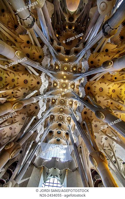 Inside the Sagrada Familia. Barcelona. Catalonia. Spain