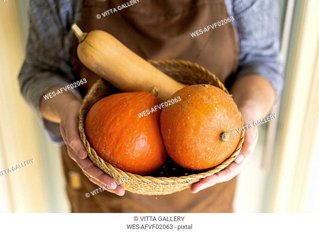 Hands holding pumpkins in a basket
