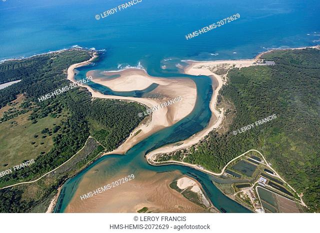 France, Vendee, Talmont Saint Hilaire, the Pointe du Payre and Veillon beach (aerial view)