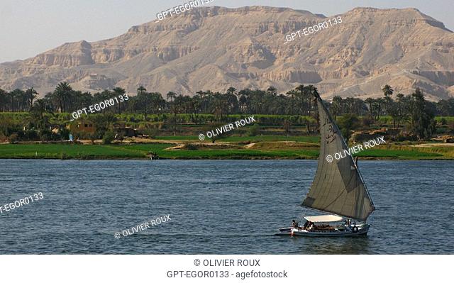 FELUCCA BOAT ON THE NILE, LUXOR, HIGH EGYPT, EGYPT, AFRICA