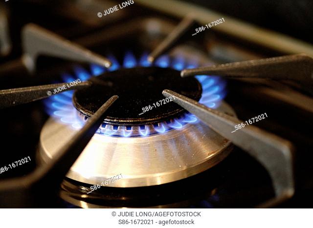 Open Gas Flame on a Cooking Stove