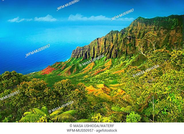 Kalalau Valley at Na Pali Coast, Kauai, Hawaii, USA
