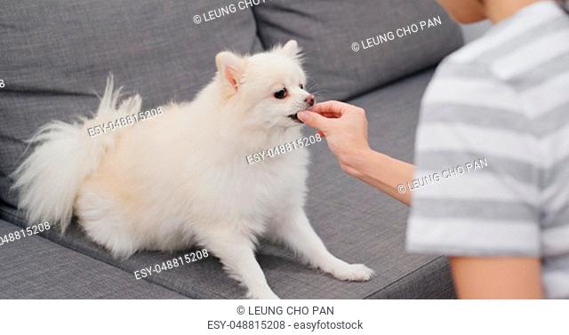 Woman feeding snack to her dog
