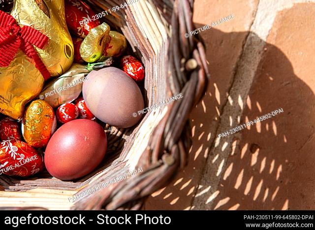 PRODUCTION - 09 April 2023, Portugal, Tomar: An Easter bunny and chocolate eggs, as well as brightly colored chicken eggs