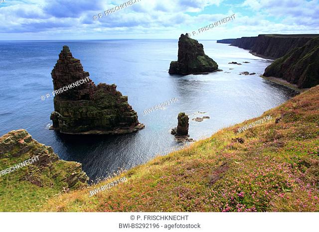 cliff line and Duncansby Stacks, United Kingdom, Scotland, Dunksansby Head