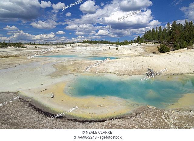 Porcelain Basin, Norris Geyser Basin, Yellowstone National Park, UNESCO World Heritage Site, Wyoming, United States of America, North America