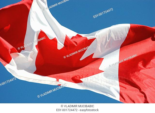 Waving flag of Canada