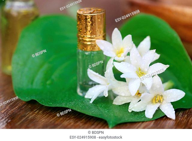 Close up of Tuberose or Rajnigandha of Southeast Asia with herbal extract