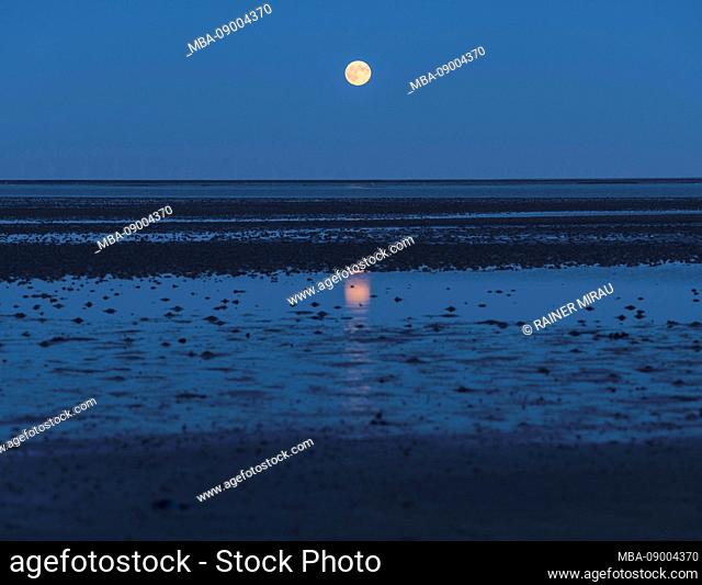 Watt and full moon, Sylt, Schleswig-Holstein, Germany