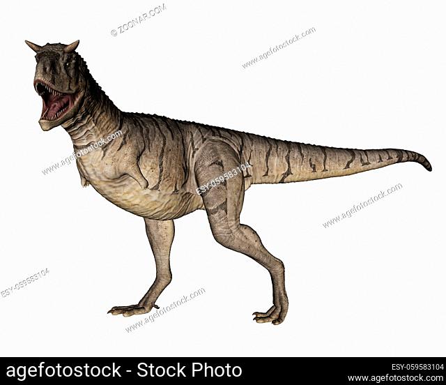 Carnotaurus dinosaur walking and roaring isolated in white background - 3D render