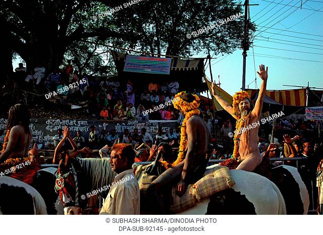 Naked sadhus of Juna Akhada at Kumbhmela festival , Ujjain ,  Madhya Pradesh , India