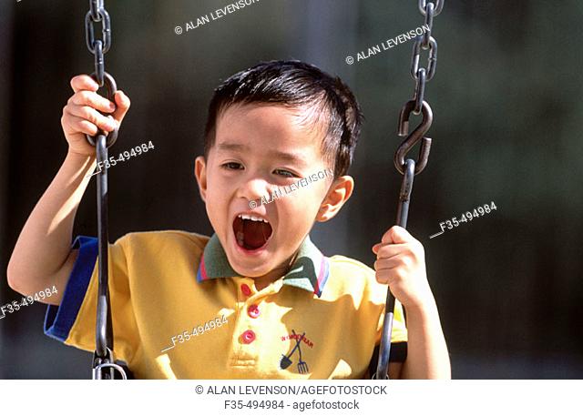 Happy Asian boy Having Fun  on a Swing