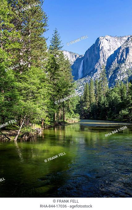 View of Merced River and Upper Yosemite Falls, Yosemite National Park, UNESCO World Heritage Site, California, United States of America, North America