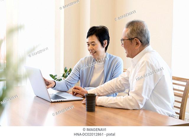 Senior couple using laptop together