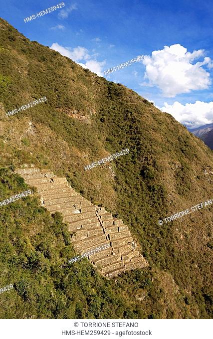 Peru, Cuzco Departement, Inca site of Choquequirao in the Vilcabamba Cordillera, the terraces, discovered in 2004 on the West side of the mountain