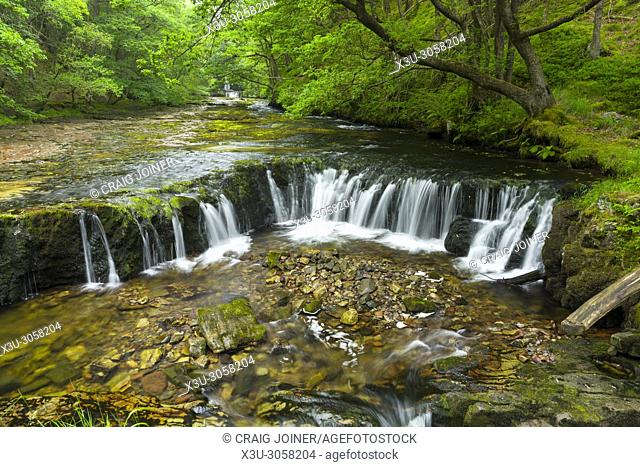 Sgwd y Bedol (Horseshoe Falls) waterfalls on the Nedd Fechan in the Brecon Beacons National Park near Pontneddfechan, Powys, Wales