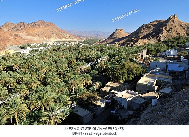 View over Franja oasis and Wadi Samail, Batinah Region, Sultanate of Oman, Arabia, Middle East