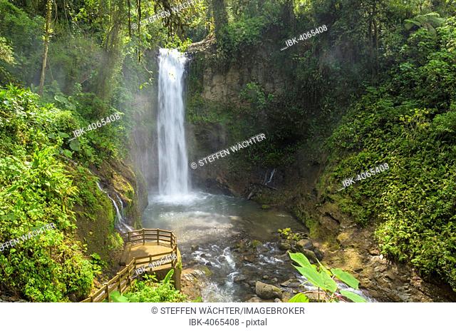 Waterfall in the rainforest, Vara Blanca, Alajuela province, Costa Rica