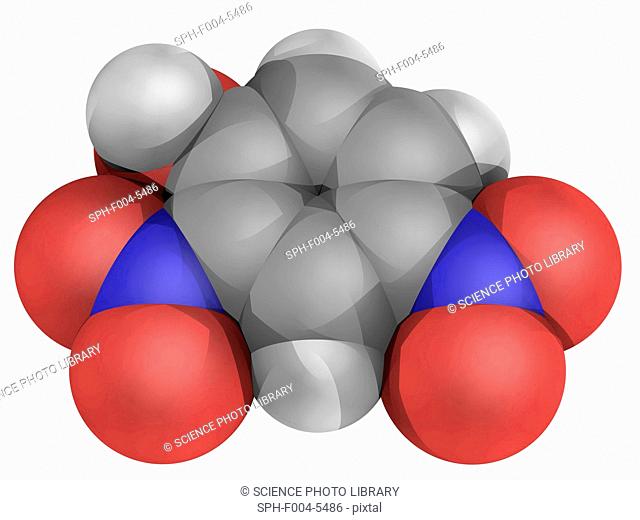 2, 4-Dinitrophenol, DNP, molecular model. Cellular metabolic poison which uncouples oxidative phosphorylation. Atoms are represented as spheres and are...