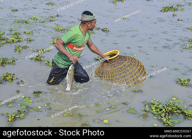 Polo Bawa Utshob, a 200 year old festival. Villagers gather with their traditional fishing nets and Polo made of bamboo and cane at a Beel for a Traditional...