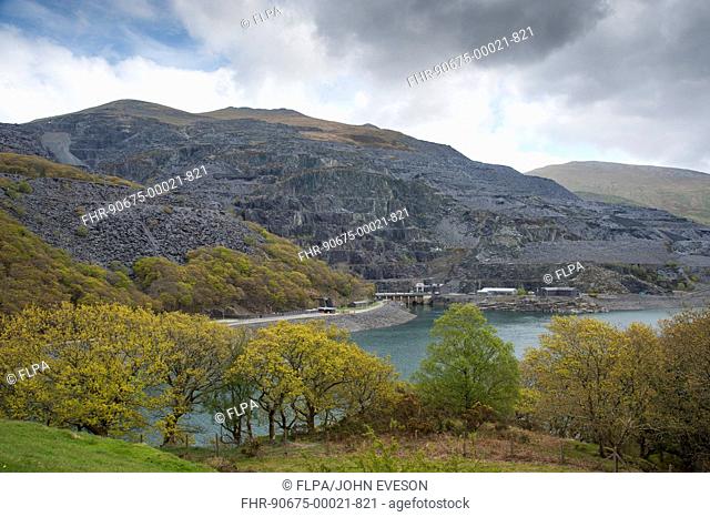 Hydro-electric powerstation reservoir, Llyn Peris, Dinorwig Power Station, Llanberis, Snowdonia N P , North Wales, may