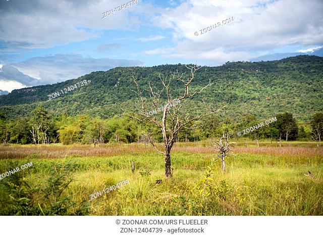 the landscape east of the Town of Sra Em north of the city Preah Vihear in Northwaest Cambodia. Cambodia, Sra Em, November, 2017