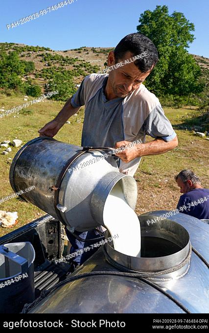 26 June 2020, Albania, Përmet: A farmer bottles goat milk from farmers in the mountains near Permet. Photo: Peter Endig/dpa-Zentralbild/ZB