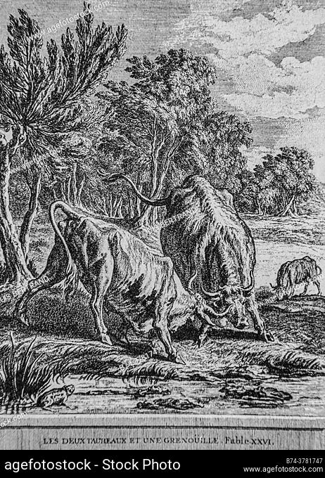 the two bulls and a frog, fables of the fountain, publisher talan, dier 1904, drawing by j. b. oudry
