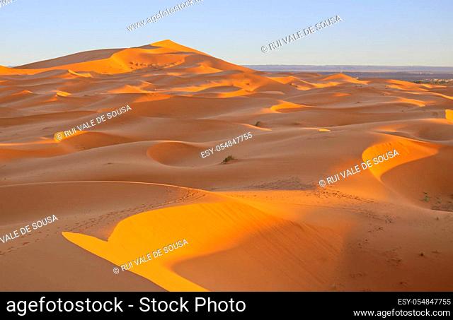 sahara desert dunes at sunset, in Morocco