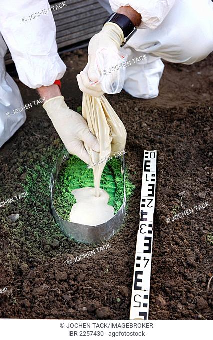 Criminal investigation department, police, forensic scientist secures a shoe print at a crime scene, making it visible with green spray paint and taking of a...