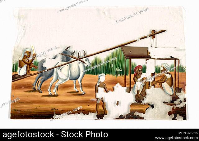 4 men and 2 oxen working in the fields. Indian coloured drawings: a collection of 177 original paintings on ""talc, "" etc