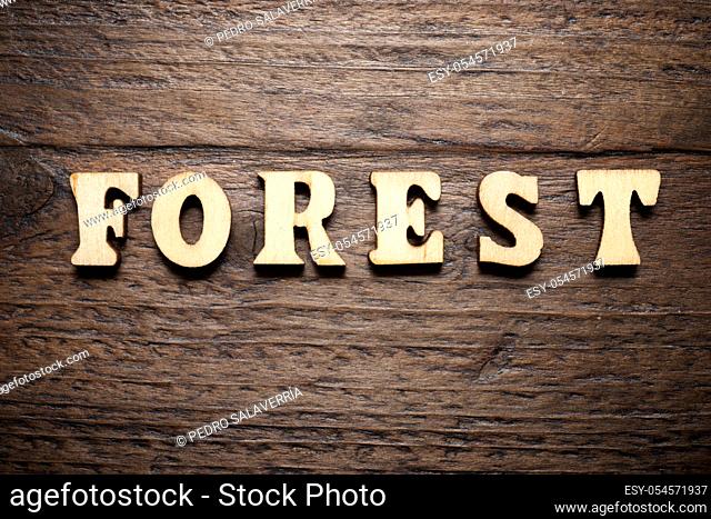 Forest word on a wood table